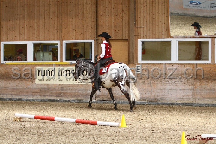28-ApHC OT_279.jpg